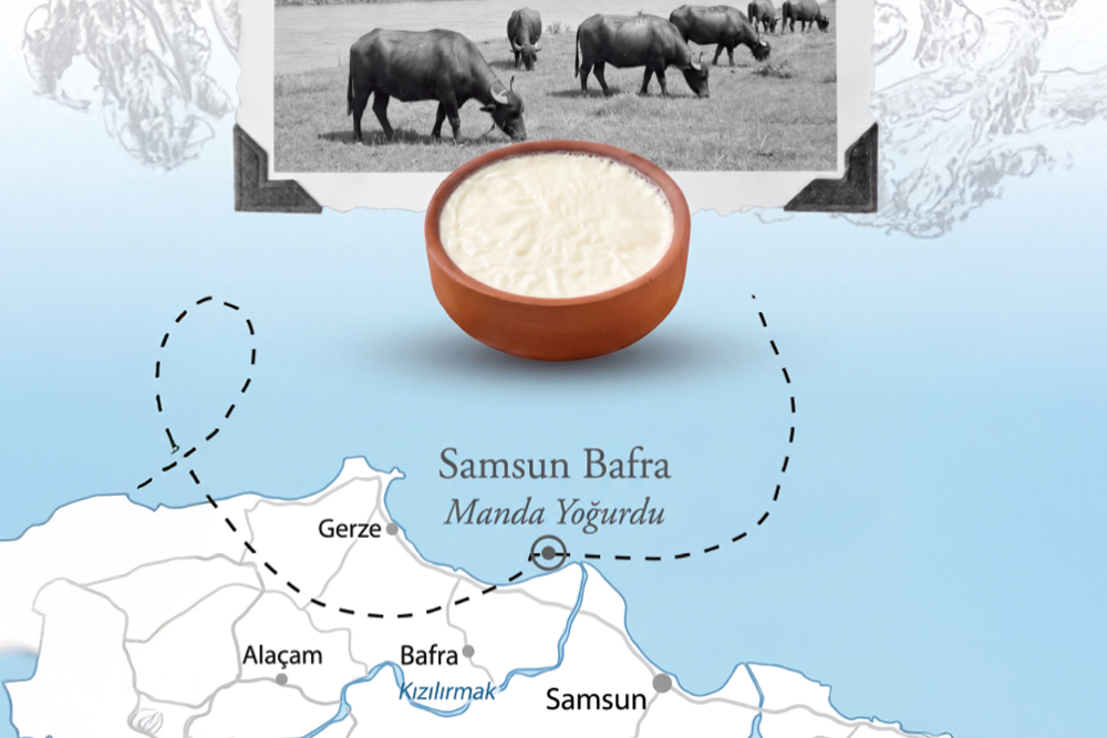 Venn Group Sürdürülebilirlik